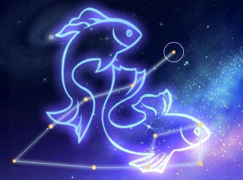 雙魚事什么星座,雙魚座什么星座