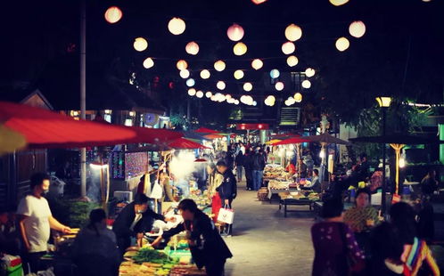 告莊夜市賺錢項目是什么,告莊夜市什么值得買 告莊夜市賺錢項目是什么,告莊夜市什么值得買