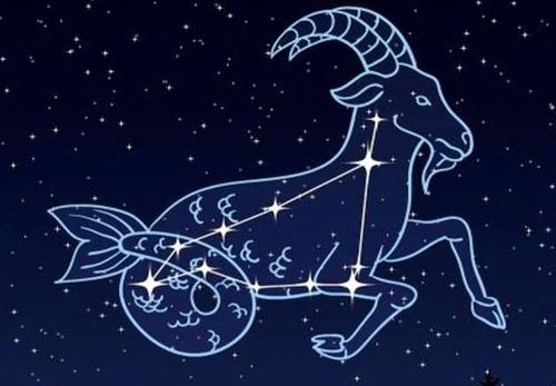 isfp性格什么星座,isfp大多是什么星座