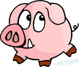 屬豬今日運勢分數(shù)如何（屬豬今日運勢卜易居）