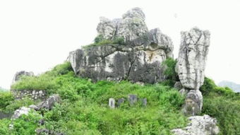 風(fēng)水墓地的運(yùn)勢(shì)如何（風(fēng)水學(xué)墓地）