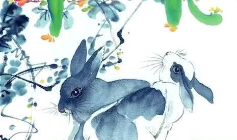 虎年女兔運(yùn)勢(shì)如何（屬兔女虎年事業(yè)運(yùn)好嗎?）