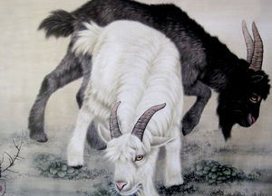 屬羊什么運(yùn)勢如何（屬羊人的運(yùn)勢命理）