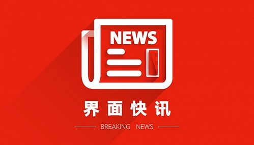 錦鯉今日運(yùn)勢(shì)如何（最新錦鯉占卜視頻）
