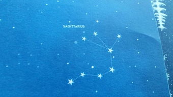 下在是什么星座,下面是什么星座