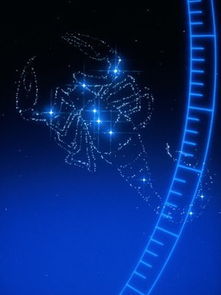 9月17日天蝎運(yùn)勢如何（2021年9月17日星座）