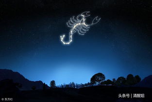 月亮雙子事業(yè)運勢如何（月亮雙子適合做什么工作）