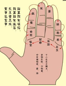 掐指如何看運(yùn)勢圖（掐指怎么算命）