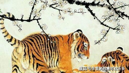 74年虎今年運(yùn)勢(shì)如何（74年屬虎人今年運(yùn)勢(shì)）