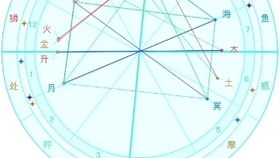 星盤雙魚運勢如何看（雙魚星位）
