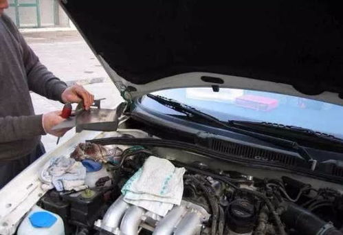汽車的油水有多少升,汽車油水多少公里換一次