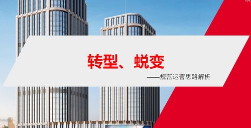 新公司做什么賺錢的項(xiàng)目,新公司做什么賺錢的項(xiàng)目好