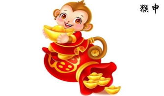 狗年屬猴運(yùn)勢(shì)如何（屬猴在狗年）