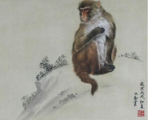 狗年屬猴運(yùn)勢(shì)如何（屬猴在狗年）