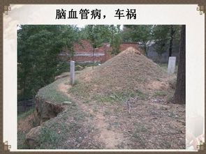 如何看墳運勢（如何看墳地）