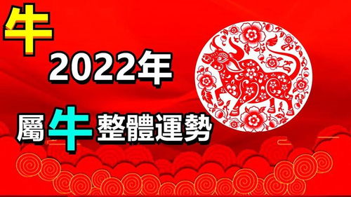 正月牛人運(yùn)勢(shì)如何（正月牛人命運(yùn)如何）