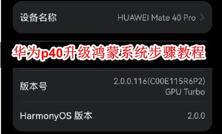 華為p40直播如何調色,華為p40直播如何調色好看