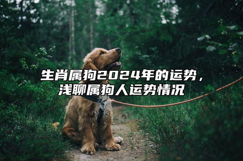 狗人年2024運(yùn)勢如何（屬狗2024年運(yùn)勢及運(yùn)程每月運(yùn)程狗）