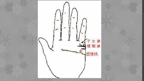 馬年午時運勢如何（午馬午時生命運）