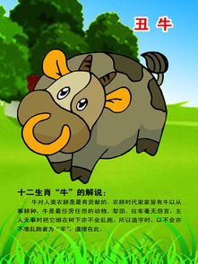 生肖牛明年運(yùn)勢財(cái)運(yùn)如何（屬牛明年的運(yùn)勢）