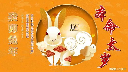 兔年運(yùn)勢(shì)今天運(yùn)勢(shì)如何看（兔年運(yùn)勢(shì)今天運(yùn)勢(shì)如何看出來(lái)）