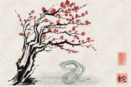 87年人今年的運(yùn)勢(shì)如何（1987年的人今年運(yùn)勢(shì)）