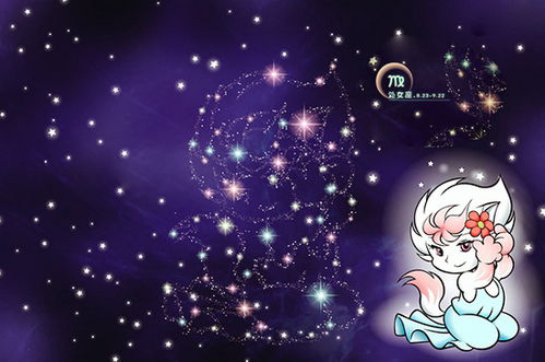 雙子在乎什么星座,雙子在乎什么星座呢