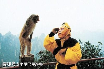 猴年人4月份運(yùn)勢(shì)如何（屬猴4月份運(yùn)勢(shì)如何）