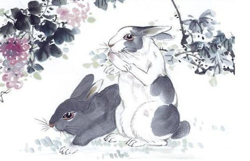 兔年屬相虎運(yùn)勢(shì)如何（屬兔虎年運(yùn)勢(shì)及運(yùn)程）