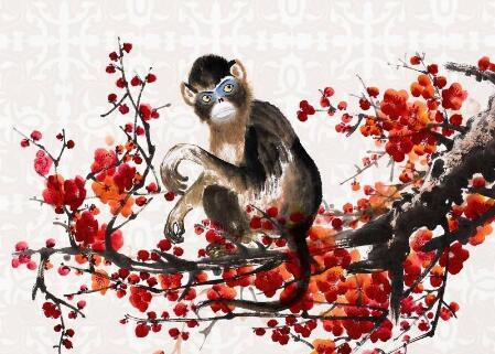 猴年桃花運(yùn)勢(shì)如何（屬猴的桃花運(yùn)勢(shì)如何）