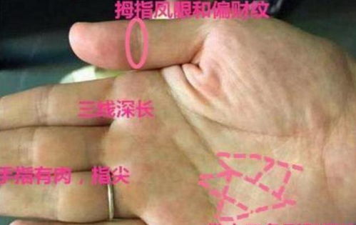 看自己運勢如何（想知道自己的運勢怎么樣）