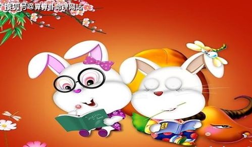 屬兔人的生辰運(yùn)勢(shì)如何（屬兔人生日命運(yùn)）