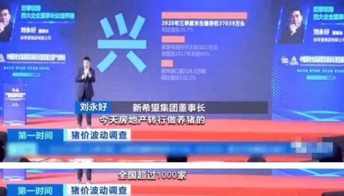 房產(chǎn)直播間怎么投錢,房產(chǎn)直播需要注意什么