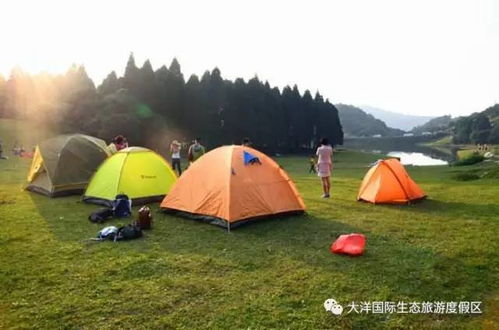 露營整理游戲有哪些,露營整理游戲有哪些類型