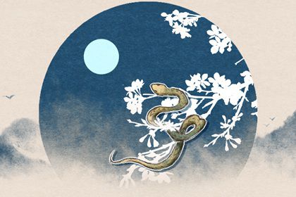 2022蛇女運(yùn)勢如何（2021年蛇女運(yùn)勢及運(yùn)程幸運(yùn)色）