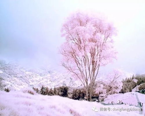 大雪那天運(yùn)勢如何（大雪那天運(yùn)勢如何看）