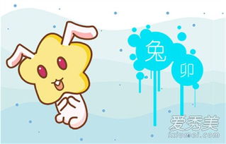 兔人2019運(yùn)勢(shì)如何（兔2019年運(yùn)勢(shì)完整版）