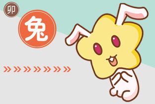 兔人2019運(yùn)勢(shì)如何（兔2019年運(yùn)勢(shì)完整版）