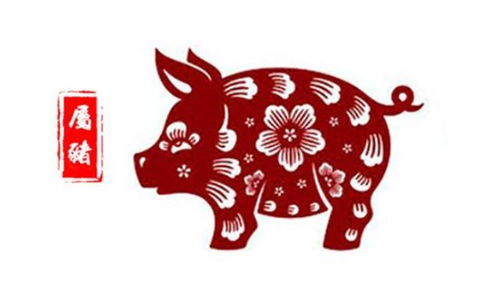 71年2019運(yùn)勢(shì)如何（1971年2019年運(yùn)勢(shì)大全）
