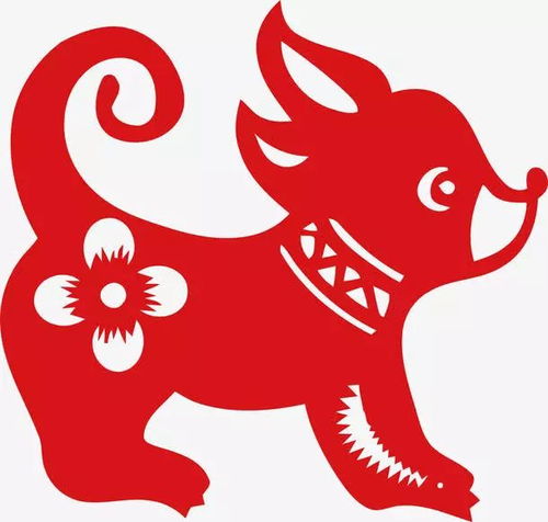 屬狗未來三個(gè)月運(yùn)勢(shì)如何（屬狗未來三年）