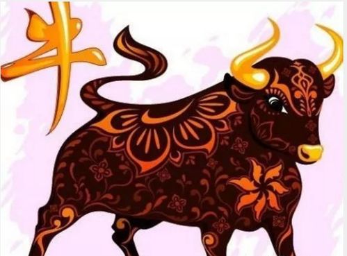 生肖牛本周運(yùn)勢(shì)如何（生肖牛下周運(yùn)勢(shì)查詢）