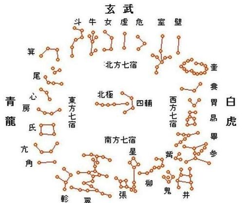 如何看2024運(yùn)勢(shì)紫微（如何看2024運(yùn)勢(shì)紫微星座）