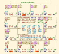 如何看2024運(yùn)勢(shì)紫微（如何看2024運(yùn)勢(shì)紫微星座）