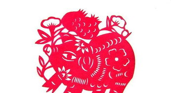 屬豬鼠年運勢如何（豬年屬鼠的運勢怎么樣）