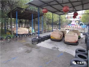 農(nóng)莊里什么項目賺錢多呢,農(nóng)莊什么項目最吸引人