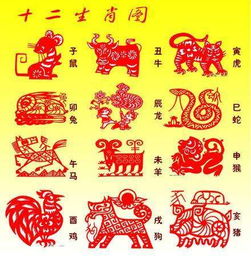 5月12日屬兔運(yùn)勢(shì)如何（2021年5月12日生肖兔運(yùn)勢(shì)）