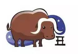 猴年明年運(yùn)勢(shì)如何（屬相猴明年運(yùn)勢(shì)）