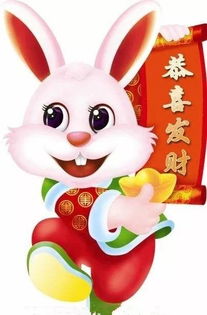 兔子的生肖運(yùn)勢(shì)如何（兔子的運(yùn)氣怎么樣）