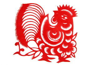 屬雞如何改變運(yùn)勢（屬雞的人如何）