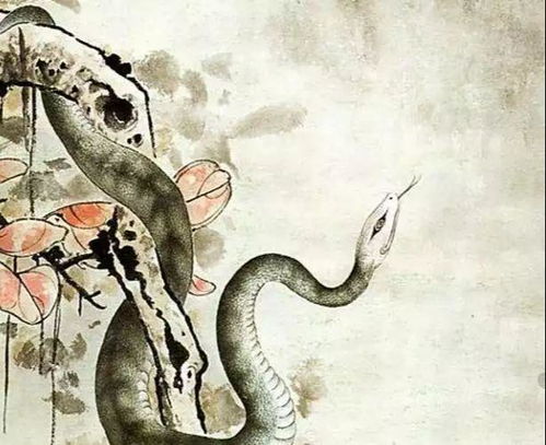 屬蛇3月5號(hào)運(yùn)勢(shì)如何（屬蛇的3月的命運(yùn)如何）